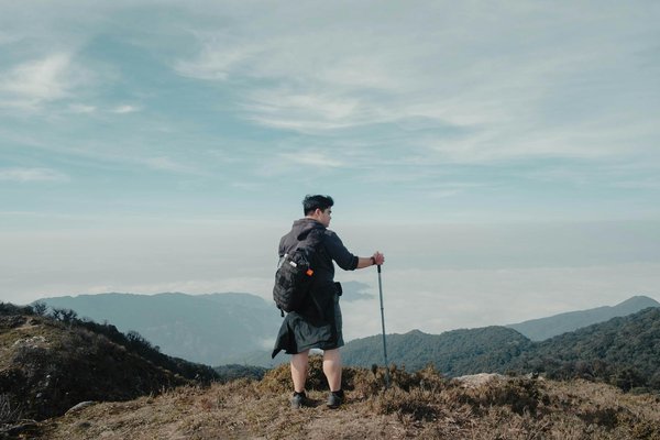 Comment organiser un camping pour observer les phoques en Écosse?